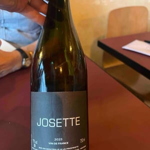 Josette - Nicolas Carmarans - Nicolas Carmarans -2021