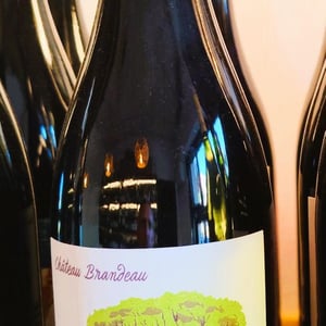 Joue Franc Jeu 2016 - Chateau Brandeau - Julien Voogt 