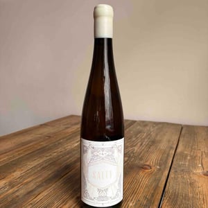 Jugend Grüner Veltliner Salty - Magdalena Haas - Magdalena Haas -2022