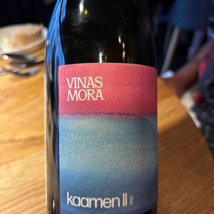 Kaamen II - Vinas Mora - Niko Dukan & Kreso Petrekovic