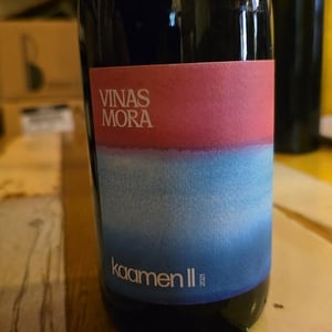 Kaamen II - Vinas Mora - niko-dukan-kreso-petrekovic