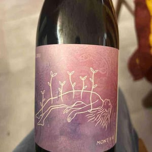 Koru - Les Vins De Mont-Val - sophie-valancant-jean-yves-domont -2023