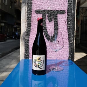 La baisse - Domaine de Rochemure - Philippe Vermorel -2021