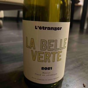 La Belle Verte - Domaine L'étranger - paulo-almeida-laura-rebeissi -2020