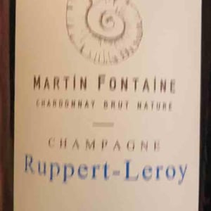 La Bergerie - Champagne Ruppert-Leroy - Emmanuel Ruppert & Bénédicte Leroy 