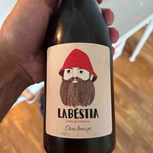 La Bestia - Mas Pellisser - Oriol Artigas 