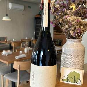 La bretonne - Champagne C.H. Piconnet - agathe-et-clement-piconnet -2018