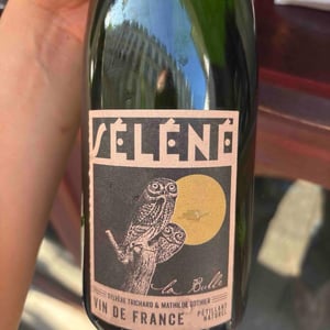 La Bulle - Séléné - Sylvère Trichard -2022