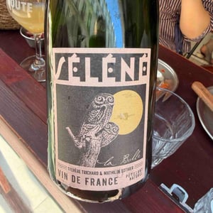 La Bulle - Séléné - Sylvère Trichard -2022