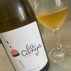 La Canya - Mas Pellisser - oriol-artigas