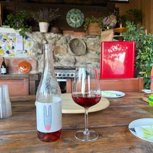 la ciuccia - Vini Petracavallo - Vito D'Onghia -2022