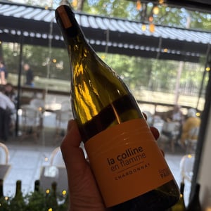 La Colline En Flamme - Domaine des Pothiers - denise-georges-romain-paire