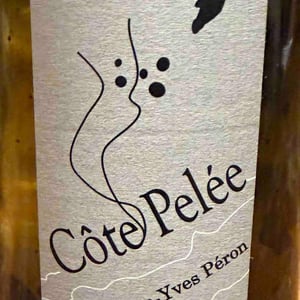 La Côte Pelée - Jean-Yves Péron - Jean-Yves Péron 