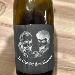 La Cuvée Des Gueux (rouge) - Domaine Adrien Berlioz - adrien-berlioz -2020