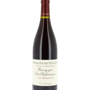 La Digoine - Domaine De Villaine - aubert-de-villaine-thierry-devaux-pierre-de-benoist