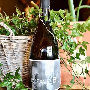 La Face B - Domaine de Lucey - Anne Cécile Pflieger & Erwan Buchwalter 