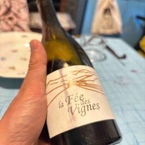 La Fée des Vignes - Clos des Cimes - elodie-aubert