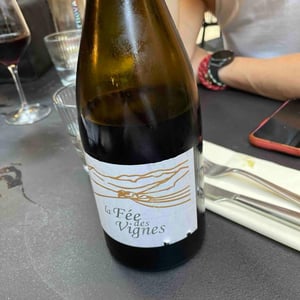 La Fée des Vignes - Clos des Cimes - Elodie Aubert