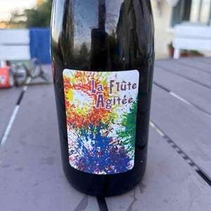 La Flute Agitee - La Combe aux Rêves - gregoire-perron-judicaelle-cevasco