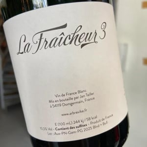 La Fraîcheur 3 - L’Arbre Viké - Jan Tailler -2025