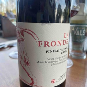 La fronde - François Ecot - François Ecot -2024