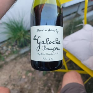 La Galoche Blanche - Domaine Saint-Cyr - Raphaël Saint-Cyr 