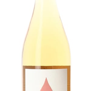La Goutte Du Seigneur (Blanc) - Domaine Duseigneur - bernard-duseigneur-gabriel-monier -2020