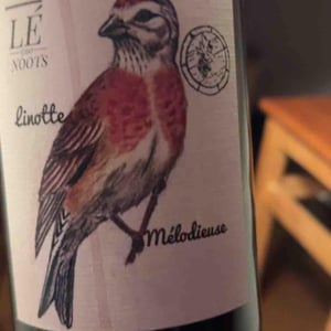 La linotte méldieseuo - Vin de France - romain-verger-lucie-faderne