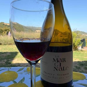 La Marginale - Domaine des Roches Neuves - thierry-et-louis-germain