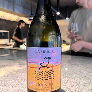 La Merla - Gli archi - gli-archi