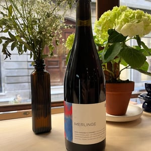 La Merlinge - Domaine du Chambet - Anthony Fonjallaz 