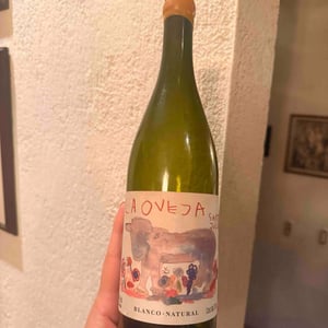 La Oveja Santa Julia 2021 - Bodega Santa Julia - ruben-ruffo-edgardo-consoli