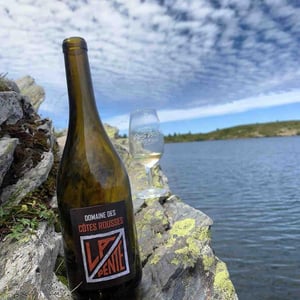 La Pente - Domaine des Côtes Rousses - Marielle & Nicolas Ferrand 