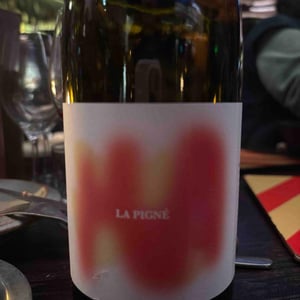 La Pigné - Les Terres Bariolées - claire-freist-et-edoardo-veltroni -2024