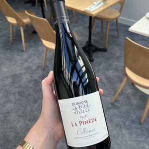 La Pinède - La Tour Vieille - Vincent Cantié 