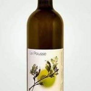 La Pousse - Kévin Barbet paysan vigneron - Kévin Barbet 