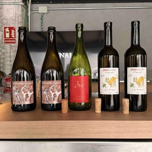 La Resistencia Activa Contra El Marqués - MicroBioWines - ismael-gozalo