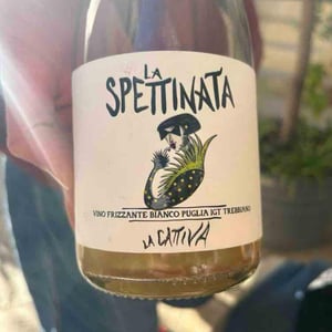La Spettinata - Masseria La Cattiva - A. Colangelo, L. Di Vincenzo, L. Lamolinara, M. La Barbera, M. Pastore Bovio, M. Opalenski, P. Bertani 