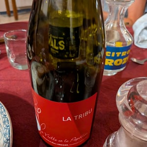 La Tribu - La Vrille et le Papillon - Géraldine & Méryl Croizier 
