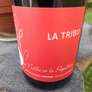 La Tribu - La Vrille et le Papillon - geraldine-meryl-croizier
