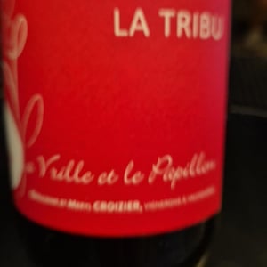 La Tribu - La Vrille et le Papillon - geraldine-meryl-croizier