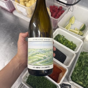 La Vague Enchantée - Domaine payen - ludovic-payen -2024