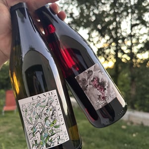 La Vie On Y Est - Domaine Gramenon - Michèle Aubéry-Laurent & Maxime-Francois Laurent 