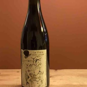 Vignes aux Loups - Morgane Turlier - morgane-turlier