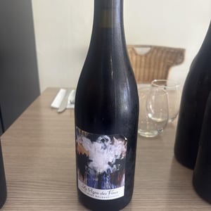 La Vigne Des Fous - Marc Delienne - marc-delienne -2017