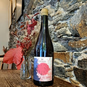 La Vinhota - Domaine Balansa - Céline Peyre & Alex Gressent 