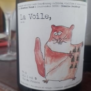 La Voile 2020 - Domaine Jeandaugé - Sébastien Fezas 