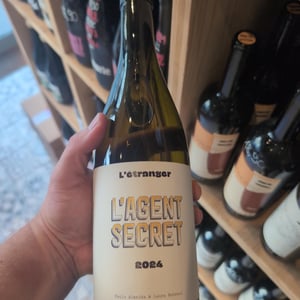 L'agent Secret - Domaine L'étranger - Paulo Almeida & Laura Rebeissi -2024