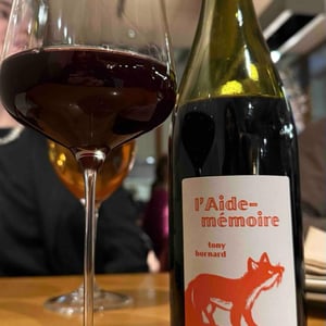 L'Aide-Mémoire - Domaine Bornard - Tony Bornard 