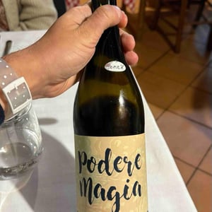 Lambrusco dell’Emilia Igt - Podere Magia - stefano-pescarmona